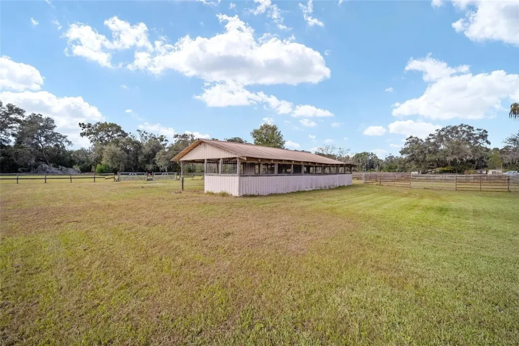 How to Find the Best Ocala Horse Farm for Your Specific Needs?