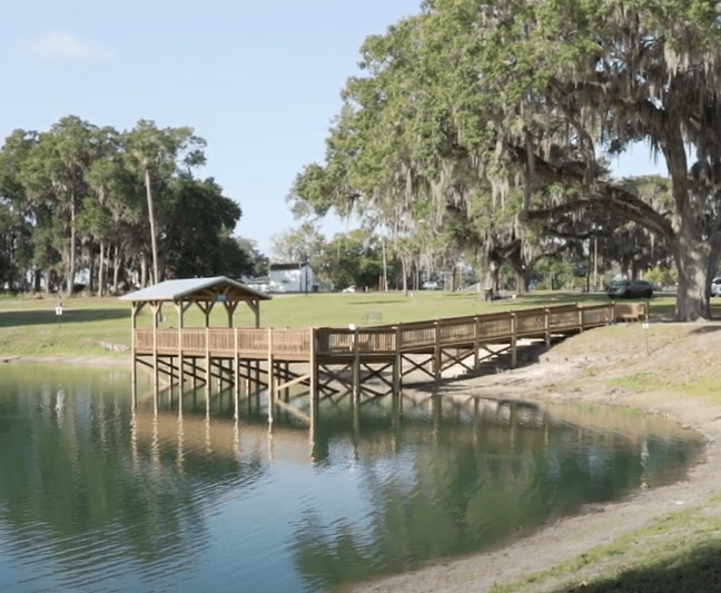 Find Belleview homes for sale with Scott Coldwell