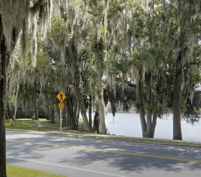 Find Gainesville homes for sale with Scott Coldwell